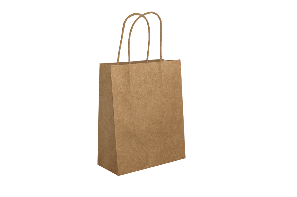 SAC A POIGNEE 35X15X40 NEUTRE (CARTON DE 200 SACS)