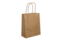 Sac à poignées (35*15*32) NEUTRE (Carton de 200 Sacs)
